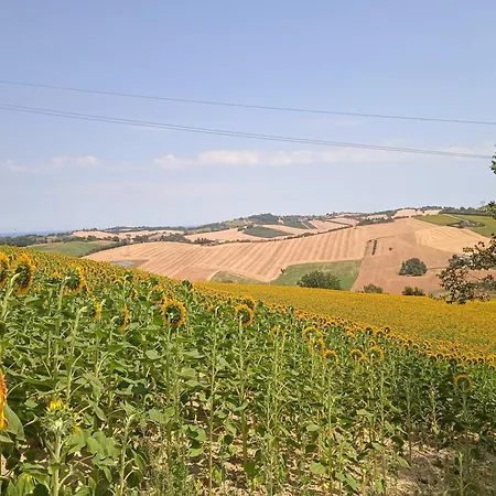 Pansiyon Stanza Privata Filetto Bettolelle